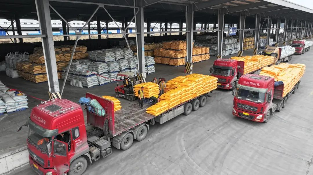 四川农村日报：best365英国在线体育力保农资供应不断档