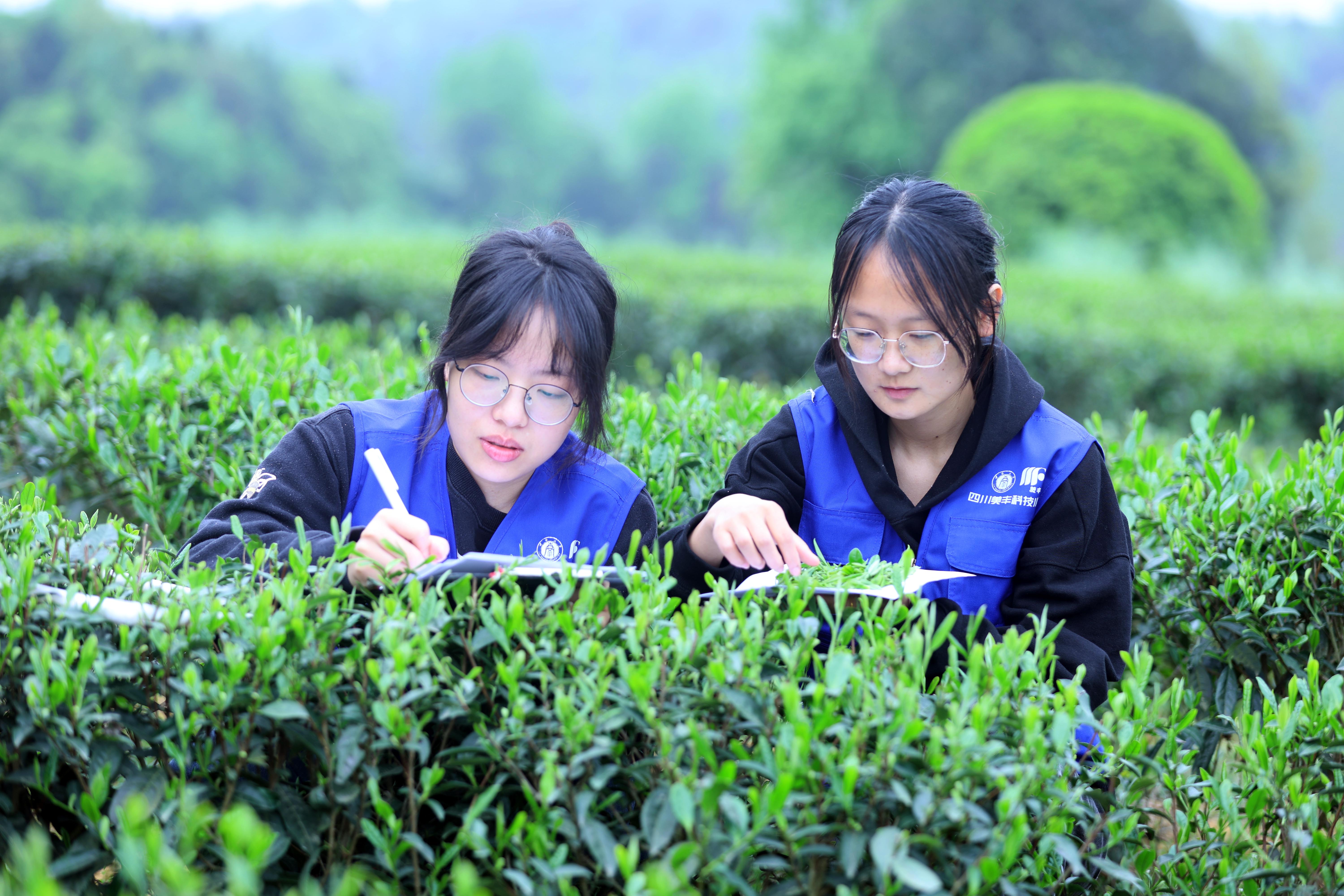 best365英国在线体育共建的两所科技小院获评优秀