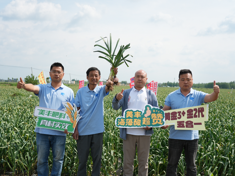 夏攻行动：best365英国在线体育护航夏粮丰产丰收