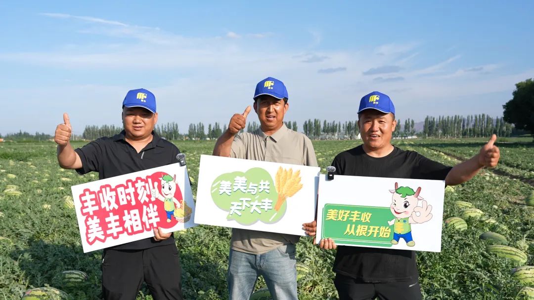 best365英国在线体育肥助力硒砂瓜亩产过万斤